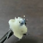マコなり社長の鼻毛抜き対策!GOSSO(ゴッソ)で鼻毛をごっそり除毛!