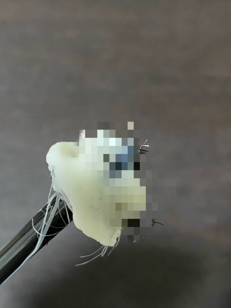 マコなり社長の鼻毛抜き対策！GOSSO（ゴッソ）で鼻毛をごっそり除毛！