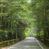 コロナ自粛後に行きたいSNSで話題のホテル・宿4選!~Go To Travelキャンペーン~軽井沢編~