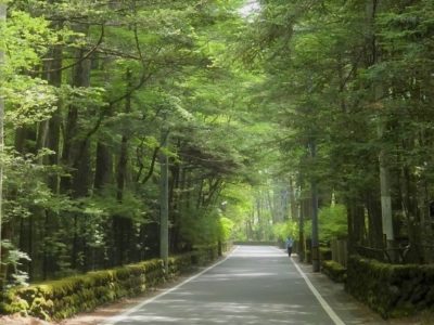 コロナ自粛後に行きたいSNSで話題のホテル・宿4選!~Go To Travelキャンペーン~軽井沢編~